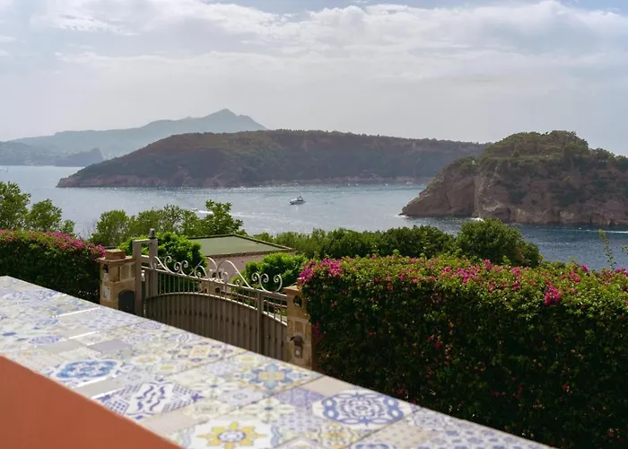 sole chiaro home